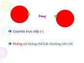Xét nghiệm Coombs trực tiếp - Quy trình thực hiện và những lưu ý cần biết