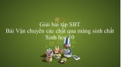 Giải bài tập SBT Sinh học 10 Bài 11: Vận chuyển các chất qua màng sinh chất