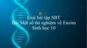 Giải bài tập SBT Sinh học 10 Bài 15: Thực hành: Một số thí nghiệm về Enzim