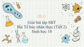 Giải bài tập SBT Sinh học 10 Bài 9: Tế bào nhân thực (Tiết 2)