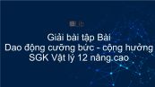 Giải bài tập SGK Vật lý 12 nâng cao Bài 11: Dao động cưỡng bức - cộng hưởng