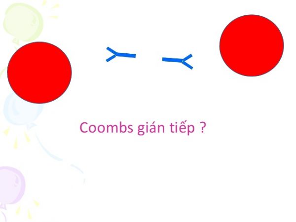 Xét nghiệm Coombs gián tiếp - Quy trình thực hiện và những lưu ý cần biết