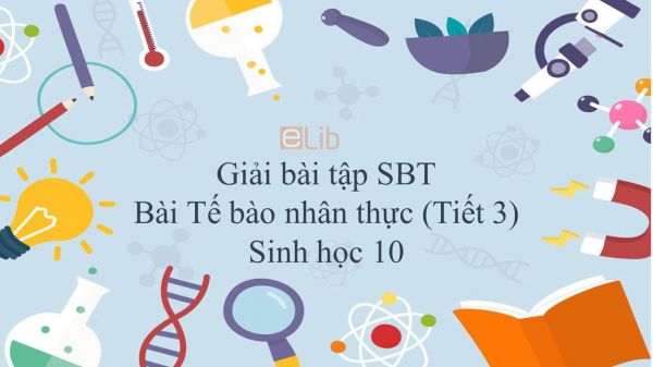 Giải bài tập SBT Sinh học 10 Bài 10: Tế bào nhân thực (Tiết 3)