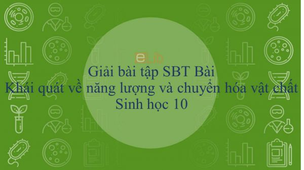 Giải bài tập SBT Sinh học 10 Bài 13: Khái quát về năng lượng và chuyển hóa vật chất