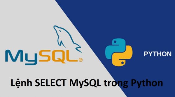 Lệnh SELECT MySQL trong Python