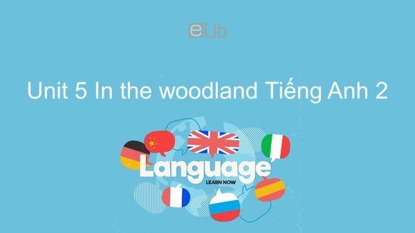 Unit 5 lớp 2: In the woodland