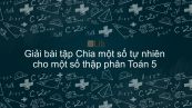 Giải bài tập VBT Toán 5 Bài 68: Chia một số tự nhiên cho một số thập phân