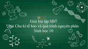 Giải bài tập SBT Sinh học 10 Bài 18: Chu kì tế bào và quá trình nguyên phân