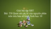 Giải bài tập SBT Sinh học 10 Bài 20: Thực hành: Quan sát các kì của nguyên phân trên tiêu bản rễ hành