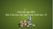 Giải bài tập SBT Sinh học 10 Bài 29: Cấu trúc các loại virut