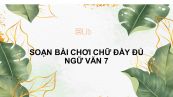 Soạn bài Chơi chữ Ngữ văn 7 đầy đủ