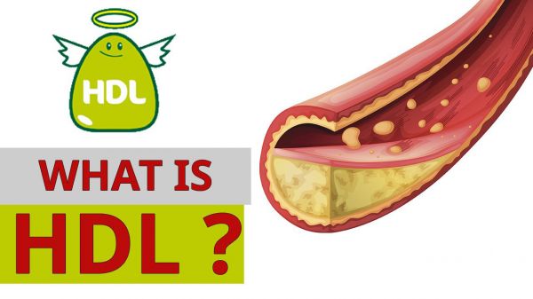 Xét nghiệm Cholesterol HDL - Quy trình thực hiện và những lưu ý cần biết