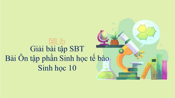 Giải bài tập SBT Sinh học 10 Bài 21: Ôn tập phần Sinh học tế bào