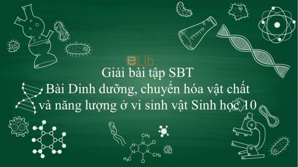 Giải bài tập SBT Sinh học 10 Bài 22: Dinh dưỡng, chuyển hóa vật chất và năng lượng ở vi sinh vật