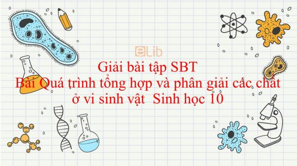 Giải bài tập SBT Sinh học 10 Bài 23: Quá trình tổng hợp và phân giải các chất ở vi sinh vật