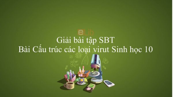 Giải bài tập SBT Sinh học 10 Bài 29: Cấu trúc các loại virut