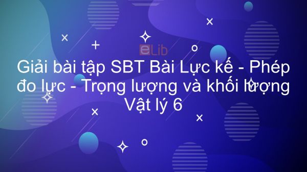 Giải bài tập SBT Vật lý 6 Bài 10: Lực kế - Phép đo lực - Trọng lượng và khối lượng