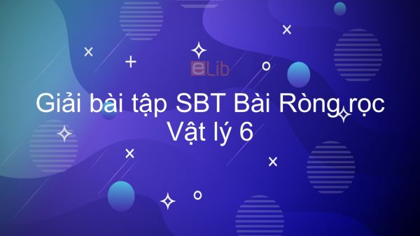 Giải bài tập SBT Vật lý 6 Bài 16: Ròng rọc