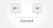 Con trỏ tới con trỏ & truyền con trỏ tới hàm trong C++