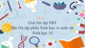 Giải bài tập SBT Sinh học 10 Bài 33: Ôn tập phần Sinh học vi sinh vật