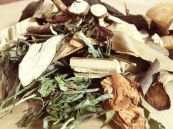 Dung chụm - Trị đòn ngã tổn thương