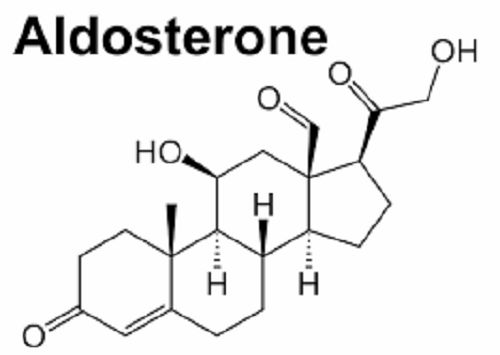 Aldosterone - Triệu chứng, nguyên nhân và cách điều trị