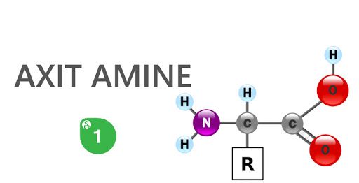 Xét nghiệm Axit amin - Quy trình thực hiện và những lưu ý cần biết