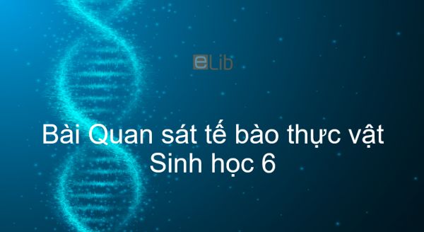 Sinh học 6 Bài 6: Quan sát tế bào thực vật