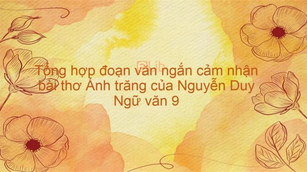 Tổng hợp đoạn văn ngắn cảm nhận bài thơ Ánh trăng - Nguyễn Duy