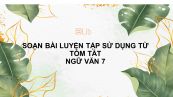 Soạn bài Luyện tập sử dụng từ Ngữ văn 7 tóm tắt