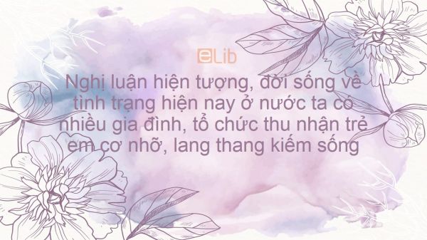 Nghị luận hiện tượng, đời sống về Tình trạng hiện nay ở nước ta có nhiều gia đình, tổ chức cá nhân thu nhận trẻ em cơ nhỡ