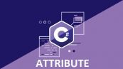Attribute trong C#