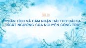 Phân tích và cảm nhận về bài thơ Bài ca ngất ngưởng của Nguyễn Công Trứ