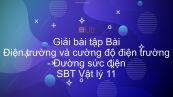 Giải bài tập SBT Vật Lí 11 Bài 3: Điện trường và cường độ điện trường. Đường sức điện