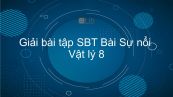 Giải bài tập SBT Vật lý 8 Bài 12: Sự nổi