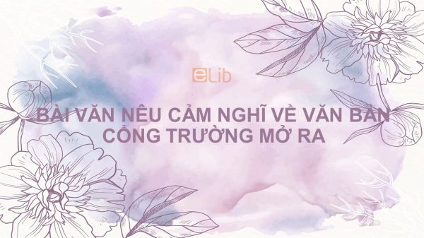 Bài văn nêu cảm nghĩ về văn bản Cổng trường mở ra của Lí Lan