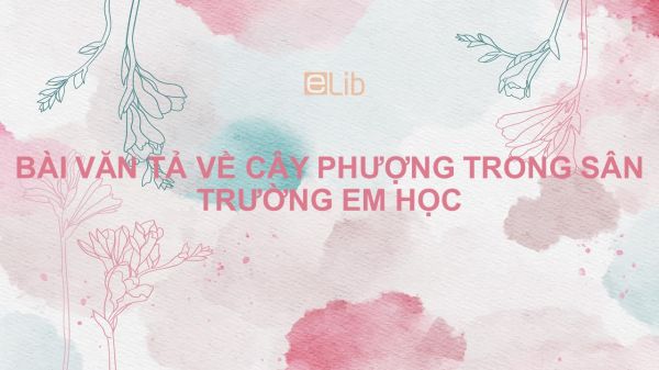 Bài văn tả về cây phượng trong sân trường