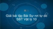 Giải bài tập SBT Vật Lí 10 Bài 4: Sự rơi tự do