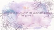 Luyện từ và câu: Luyện tập về từ đồng nghĩa (tuần 1) Tiếng Việt 5