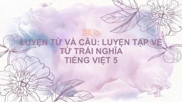 Luyện từ và câu: Luyện tập về từ trái nghĩa Tiếng Việt 5
