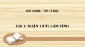 Bài 1: Nhận thức cảm tính