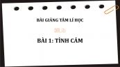 Bài 1: Tình cảm