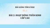 Bài 2: Hoạt động thần kinh cấp cao