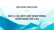 Bài 3: Các quy luật hoạt động thần kinh cấp cao