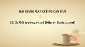 Bài 3: Môi trường vi mô (Micro - Environmet)