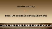 Bài 5: Các loại hình thần kinh cơ bản