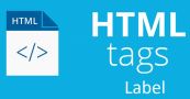 Thẻ Label trong HTML