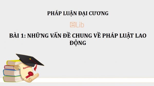 Bài 1: Những vấn đề chung về pháp luật lao động