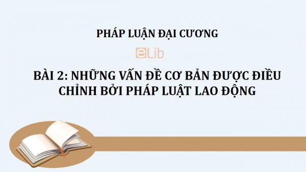 Bài 2: Những vấn đề cơ bản được điều chỉnh bởi pháp luật lao động