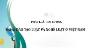 Bài 1: Đào tạo luật và nghề luật ở Việt Nam